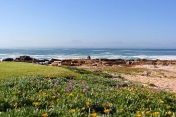 Flora of the Mossel Bay coastline, Garden Route